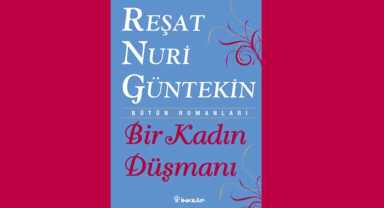 Bir Kadın Düşmanı