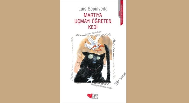 Martıya Uçmayı Öğreten Kedi