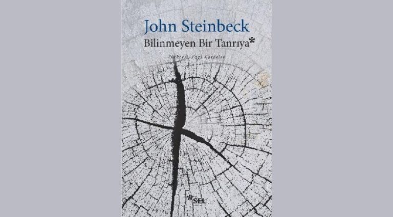 Bilinmeyen Bir Tanrıya