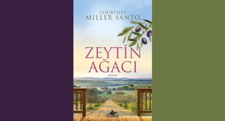 Zeytin Ağacı