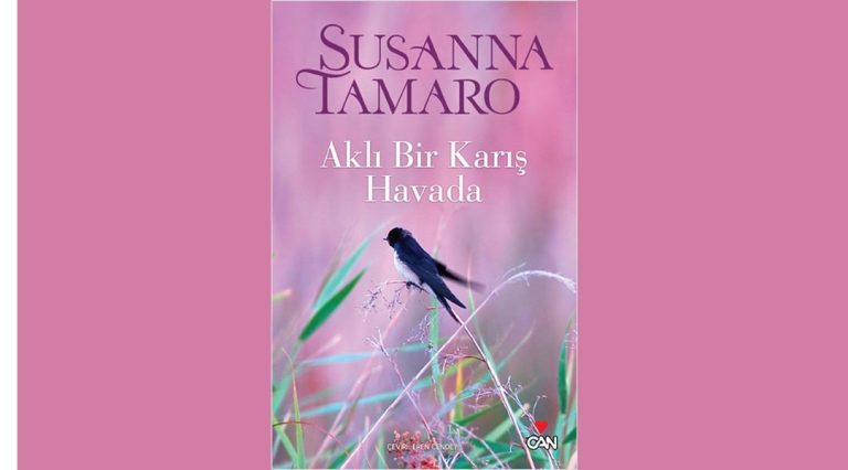 Aklı Bir Karış Havada