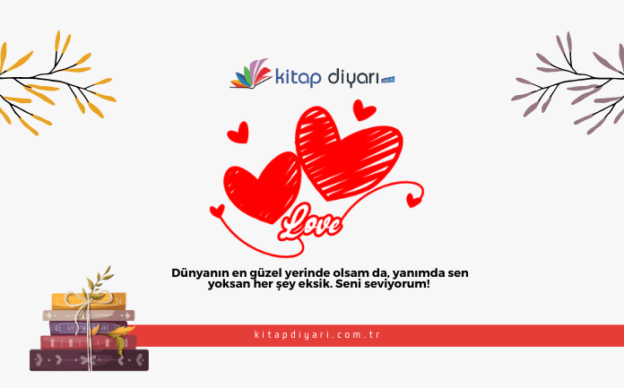 Seni Seviyorum Sözleri