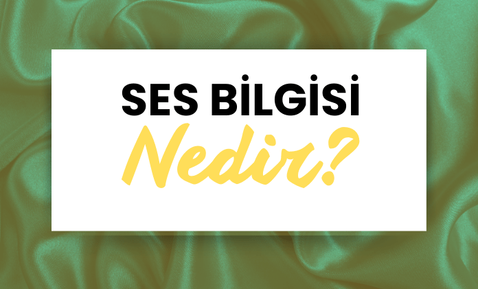 Ses Bilgisi Nedir