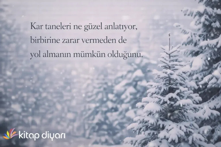 Kar İle İlgili Sözler