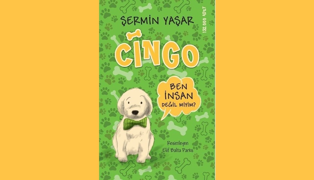 Cingo zeti Konusu Ve Karakterleri Kitap Diyar 