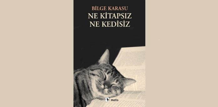 ne-kitapsiz-ne-kedisiz özet
